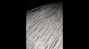 РОДЫ ДИКООБРАЗА- СХВАТКИ- РОДЫ- МАЛЫШИ- ПРИРУЧЕНИЕ.mp4