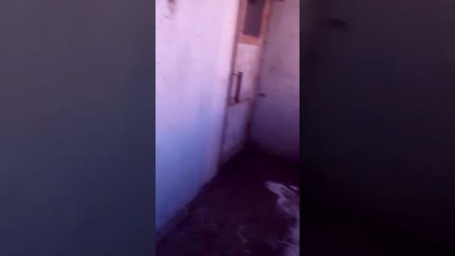 Кидаем шары с водой с 13 этажа с Соней #2