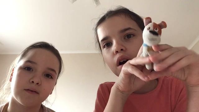 Джек-рассел-терьер (выбираем собаку) смотреть онлайн