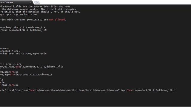 How to start Oracle Database ? смотреть онлайн