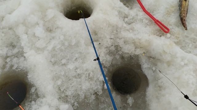 Итог рыбалки... смотреть онлайн