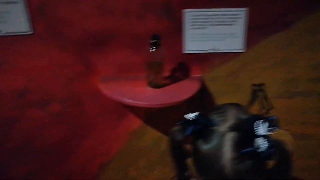 Ариана и Марсель. ВДНХ. ЗЕРКАЛЬНЫЙ лабиринт, ДОМ ВЕЛИКАНА, музей "внутри человека". смотреть онлайн