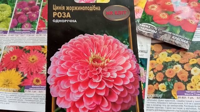 ??????️?️?️?????? НИЗКОРОСЛЫЕ ЦИНИИ (МАЙОРЫ) смотреть онлайн