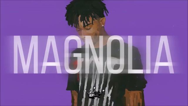 Playboi Carti Magnolia Instrumental Prod KVNG Zuzi смотреть онлайн
