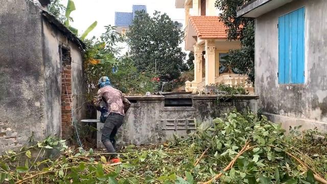 Madness Transformation Quick Video Clean Lawn Mowing Sidewalk Great Garden Beautiful House Relaxing