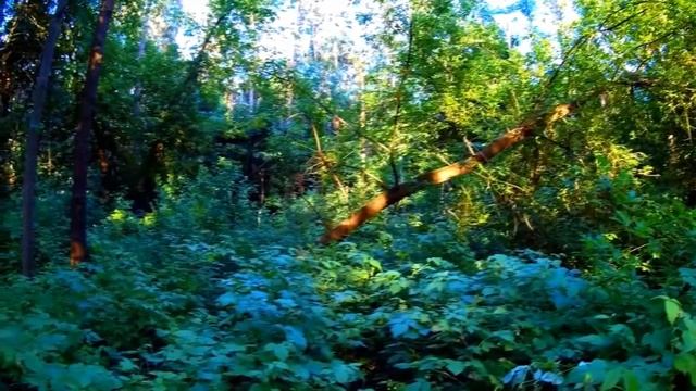 Праздник Ярило Мокрый - Троян смотреть онлайн