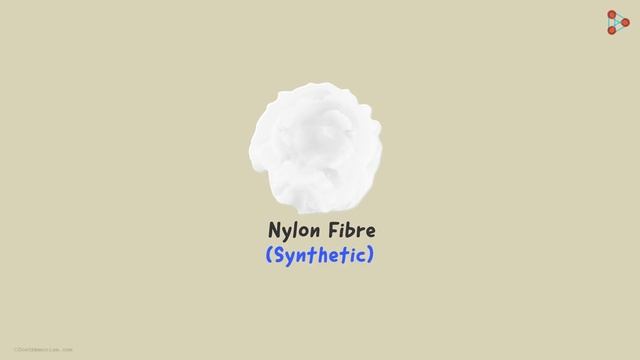 Types of Synthetic Fibres - Nylon | Don't Memorise смотреть онлайн