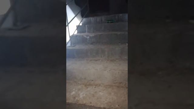 26 августа 2021 г. смотреть онлайн
