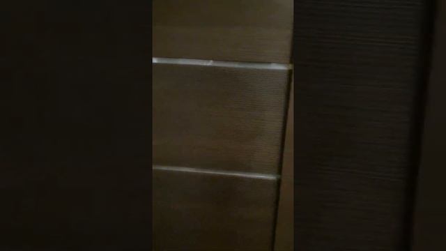 Почему нельзя экономить на дверях? смотреть онлайн