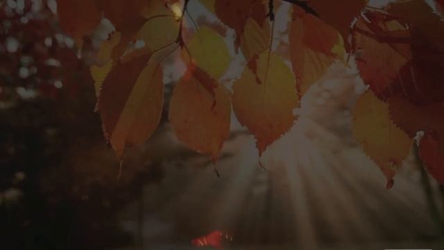 Падают листья смотреть онлайн