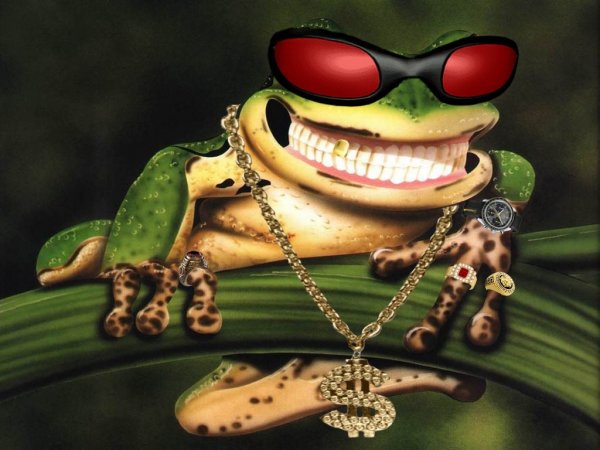 HouSe ПаNки - Жаба (Roma Skeptik Remix)