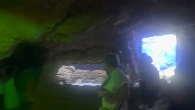 Florya İstanbul Akvaryum. İstanbul Aquarium 2022. Аквариум Стамбуле.