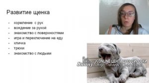 Воспитание и дрессировка  щенка 2, 3 месяца . Что делать с щенком в 2-3 месяца? как учить