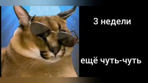 Пов: до лета осталось: