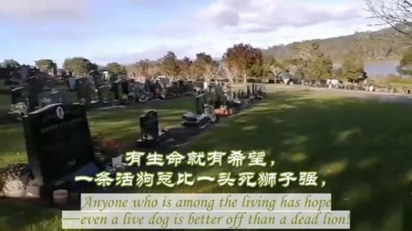 Мир будущего.