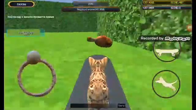 играем в cat simulator kitty craft! смотреть онлайн