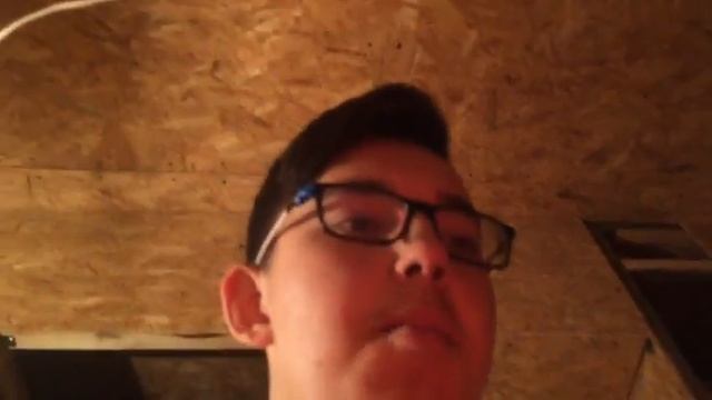 Купили гусей. Содержание суточных гусят. смотреть онлайн