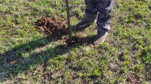 Ямобур ручной, бур ручной шнековый 195мм