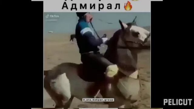 Эн кооз Аттар смотреть онлайн