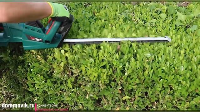 Кусторез беспроводной: аккумуляторный триммер для живой изгороди смотреть онлайн