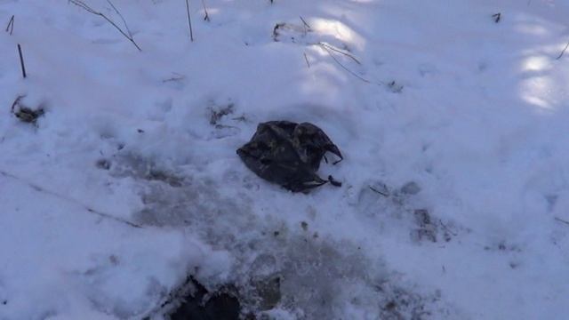 123.mp4 смотреть онлайн