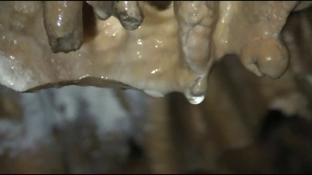 Крым-Евпатория-Пещеры-KaZantip-Z19