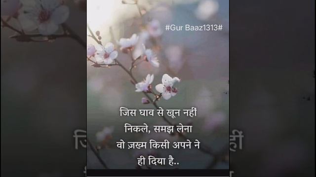 जिस घाव से #shorts#ytshorts#gurbaaz1313 смотреть онлайн