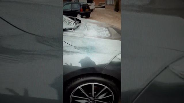 Renault Megane 1,2 Tce Bose смотреть онлайн