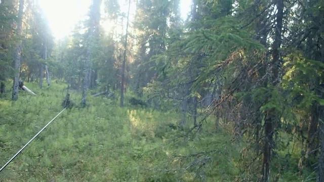 поход на избу с дочерью озёрная рыбалка смотреть онлайн