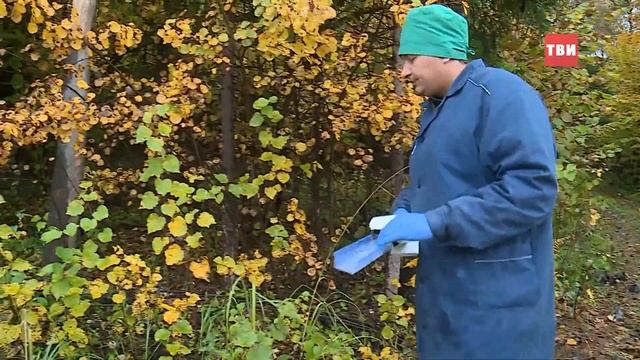 Диких животных района накормили лакомством от бешенства смотреть онлайн