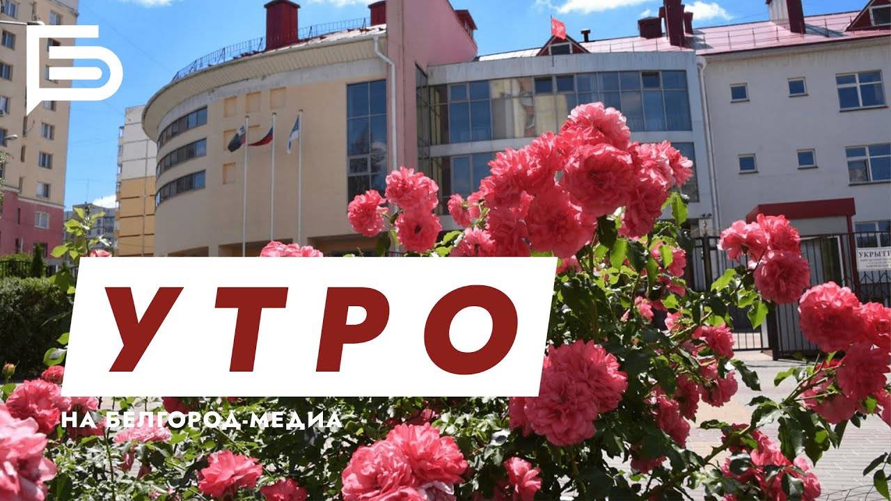 Утро Белгорода смотреть онлайн