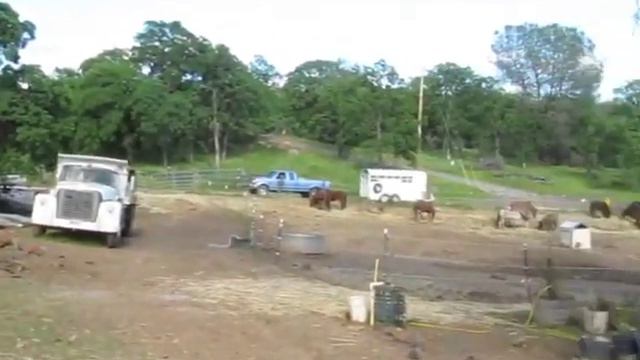 Home At Last Equine Sanctuary & Horse Rescue