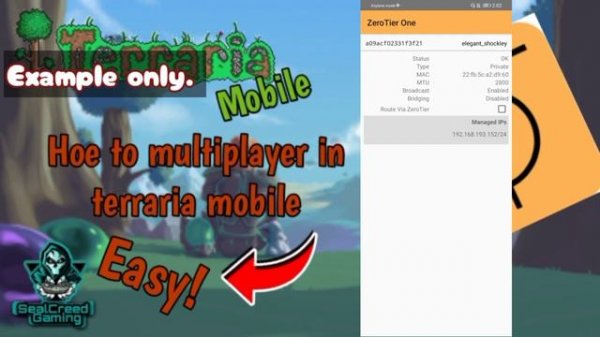 Remake | how to multiplayer in terraria mobile Zerotier (well explained)