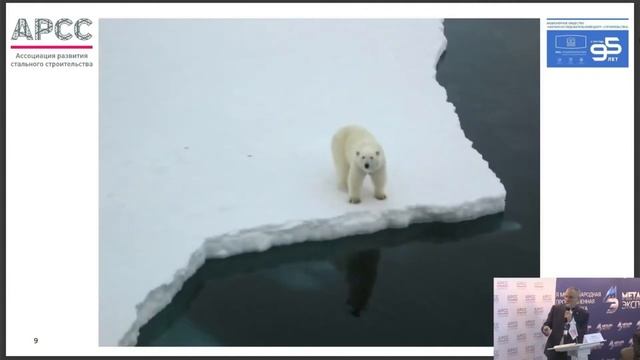 Лейбман М.Е. Примеры применения стали в строительстве