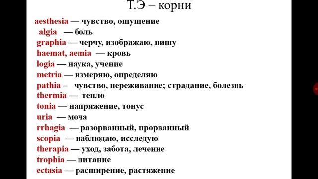 Терминоэлементы-корни смотреть онлайн