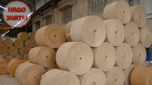 Из чего и как делают бумагу?