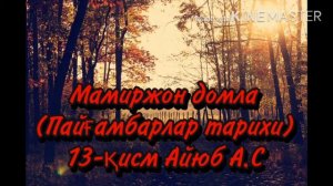Мамиржон домла (Пайғамбарлар тарихи)13-қисм Айюб А.С