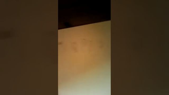 DIY новогодний плакат 2 смотреть онлайн
