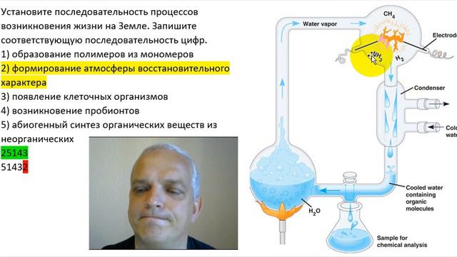 Видео-объяснение для Биоробота смотреть онлайн