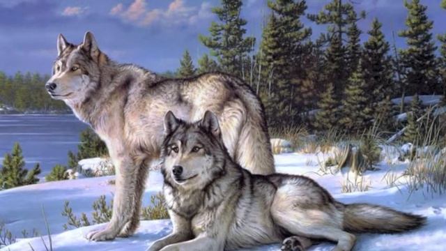 В лесу смотреть онлайн