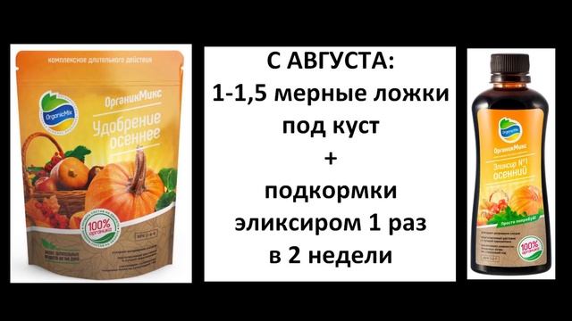 Томаты с Органик Микс + подарок от компании смотреть онлайн