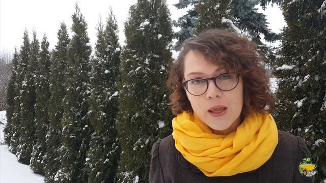 3 mitai apie spygliuočių gyvatvorę смотреть онлайн