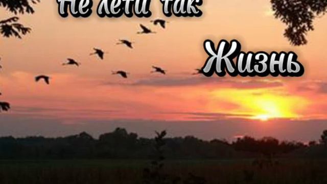 Не лети так Жизнь смотреть онлайн