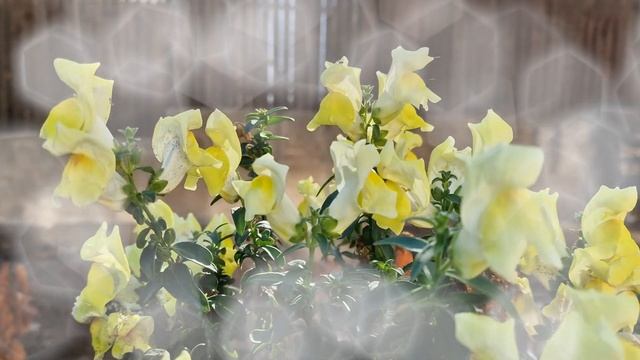 Когда Вас спросят Как поживаете, то скажите одно слово и денег у Вас всегда будет очень много смотреть онлайн