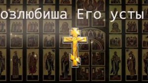 ОБРАТНО К ВРАГУ УЙДУТ ВСЕ ЕГО ПРОКЛЯТЬЯ. Псалом 77 снимает проклятие