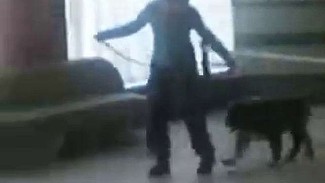 Кама на выставке смотреть онлайн