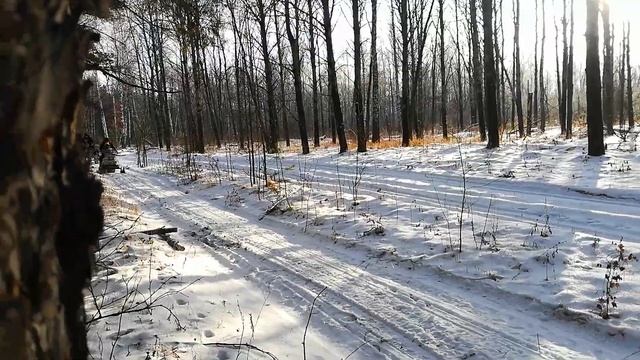 За дровами на снегоходе и мотоблоке))) смотреть онлайн