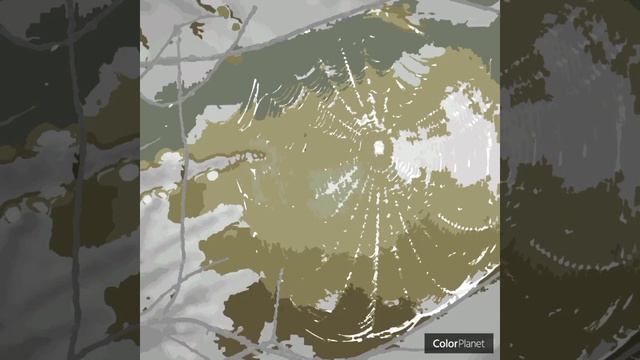 "Модницы" Ф. Кривин смотреть онлайн