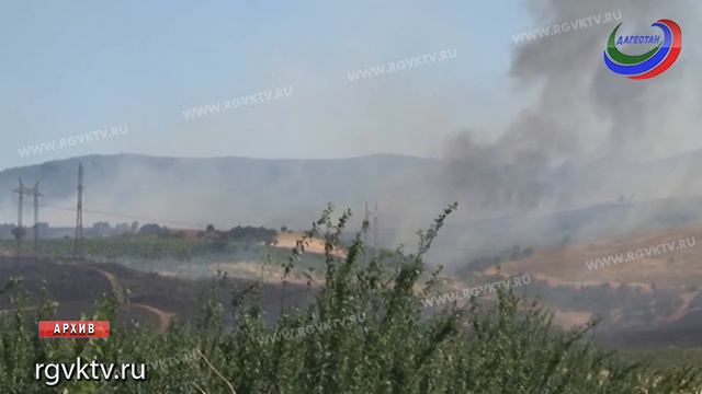 В Дагестане около трети лесных пожаров возникает из-за поджогов смотреть онлайн