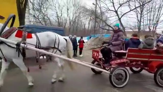 школа номер 16 ЭКОС смотреть онлайн